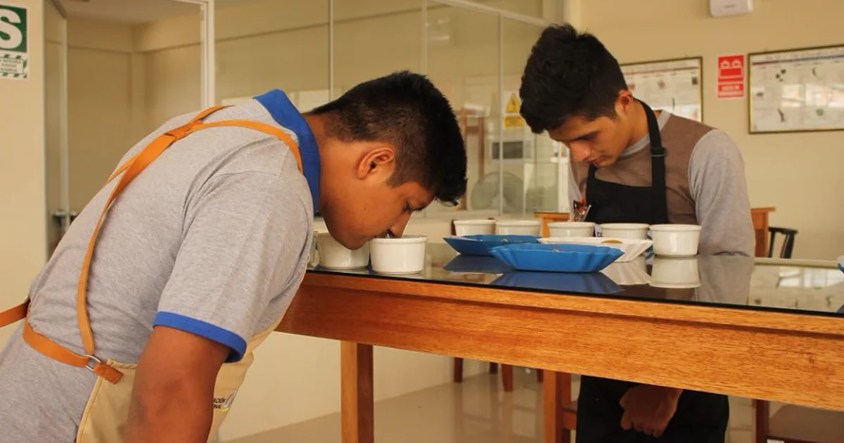 Jóvenes catadores evaluando el aroma de tazas de café en una mesa de cata en el Alto Mayo
