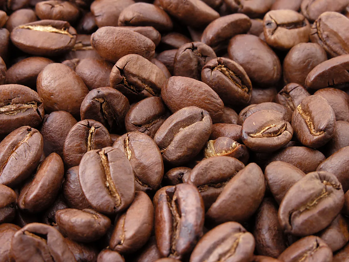 Granos de café tostado de cerca