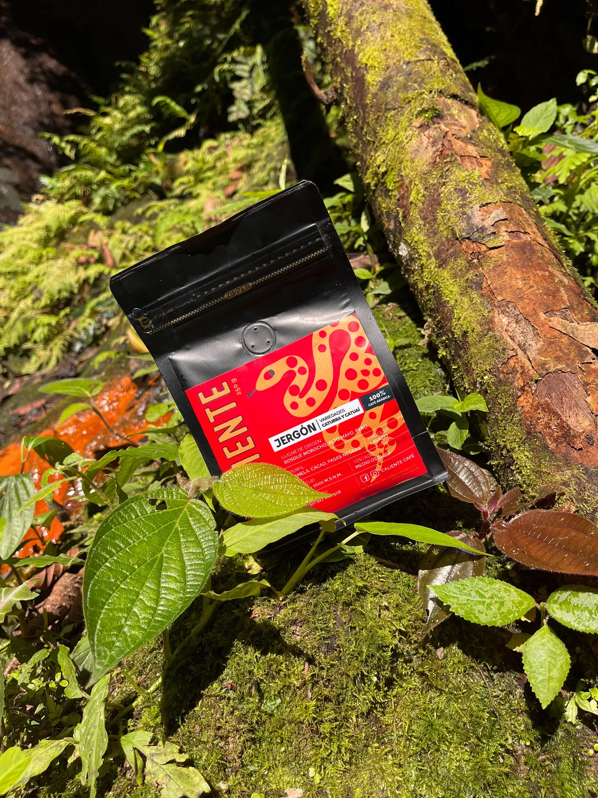 Bolsa de Jergón del Alto Mayo de Caliente Café en el bosque de San Martín